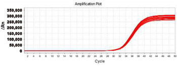 High-pressure homogenizer Test Report 4